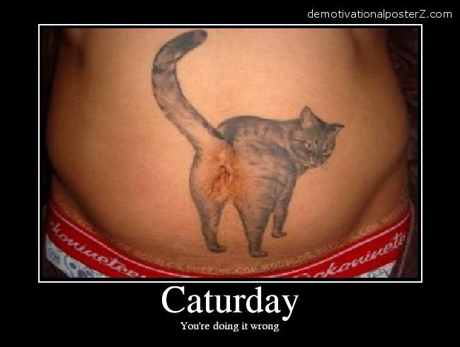Cat tattoo on stomach Caturday motivational poster Related