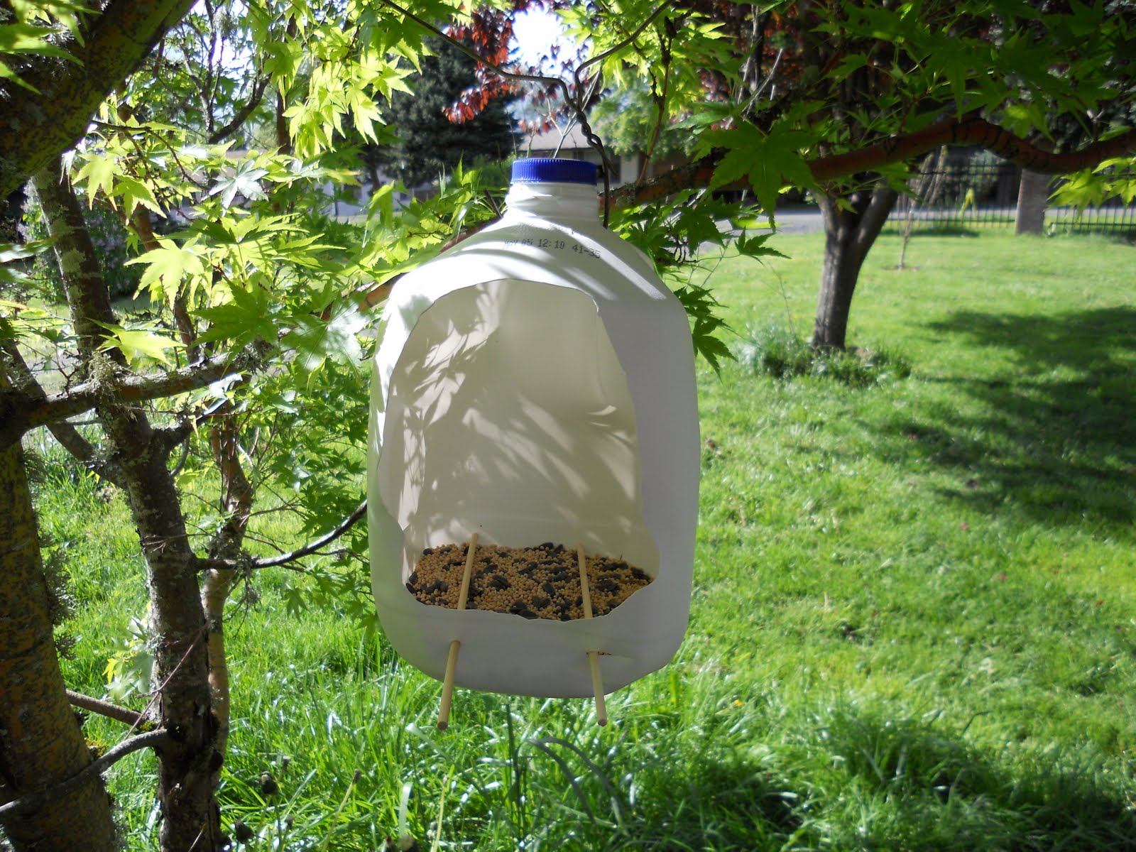 Blue Moon Urban Homestead Milk jug bird feeder