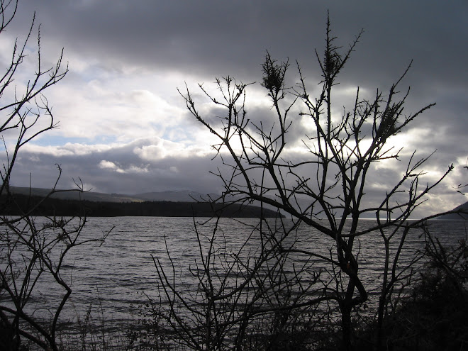 Paseo al lago Ness o Loch Ness como dicen aqui.