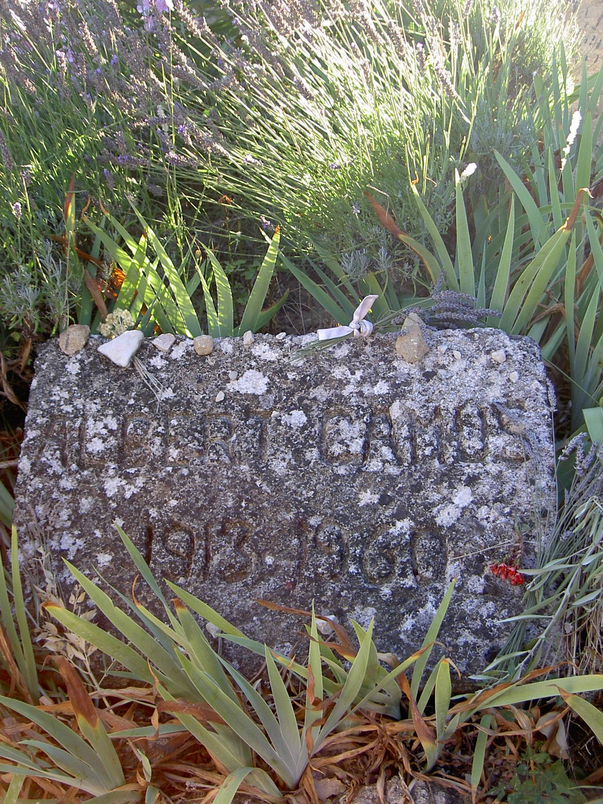 [LourmarinCamus.JPG]