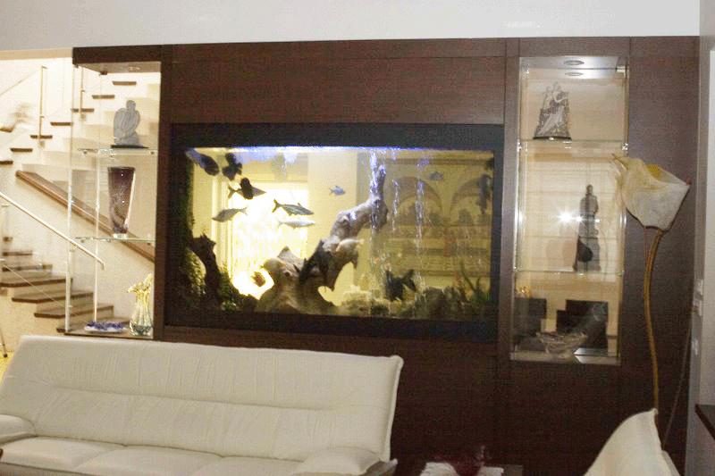 Kind Pet Shop Fish Aquarium