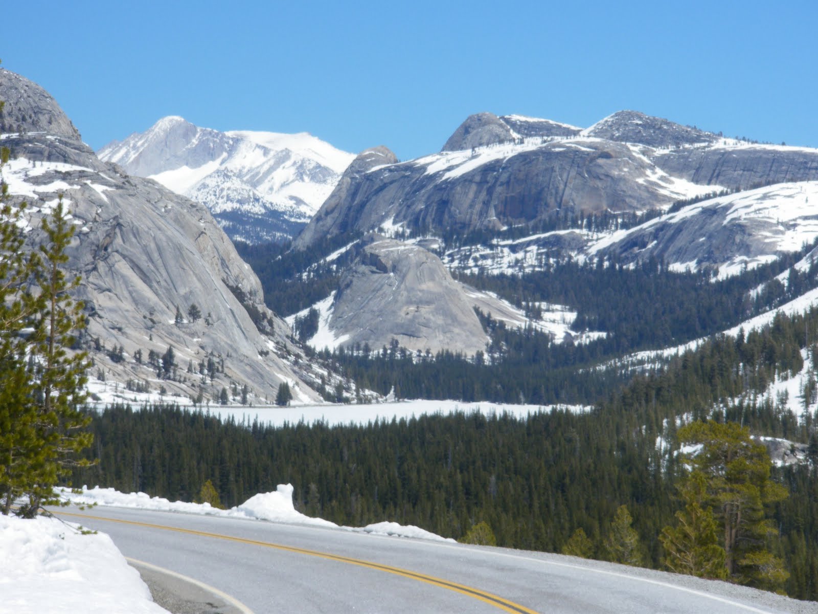 Yosemite Nature Notes