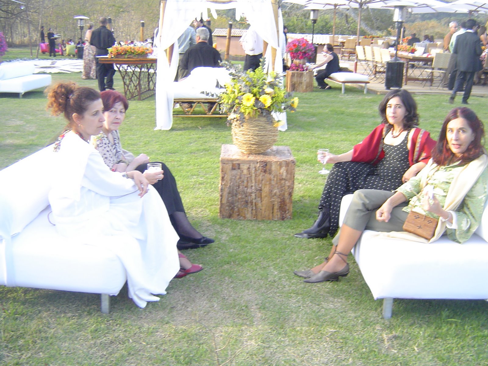 [DSC01542.JPG]