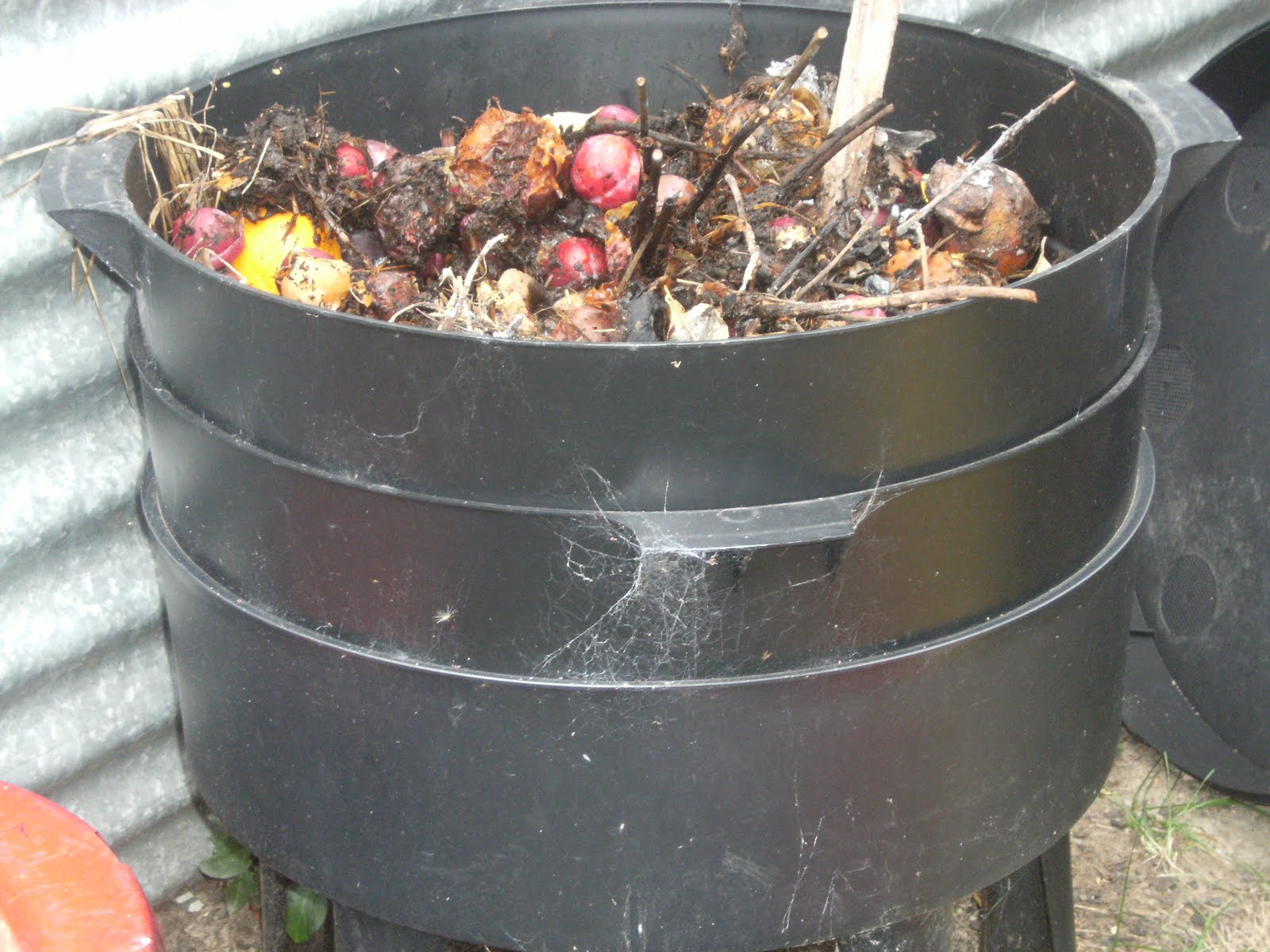 A Sustainable Journey Worm Farms