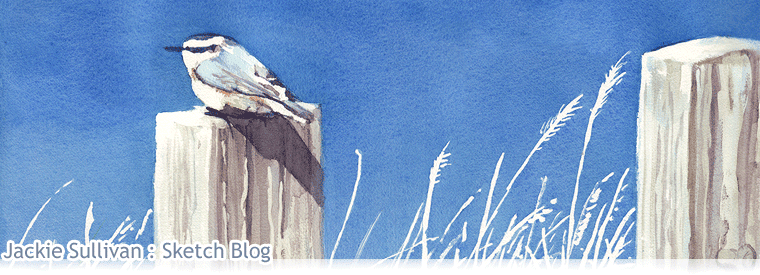 Jackie Sullivan : Sketch Blog