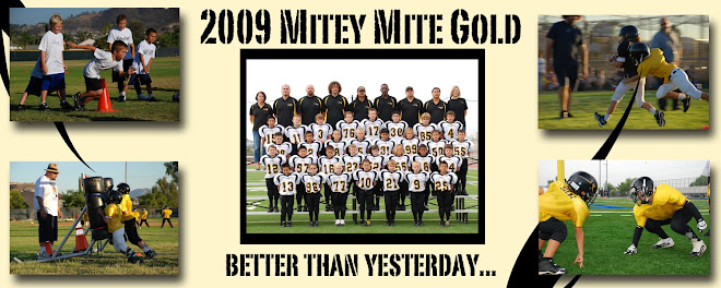 SC Mighty Mite Gold 09'