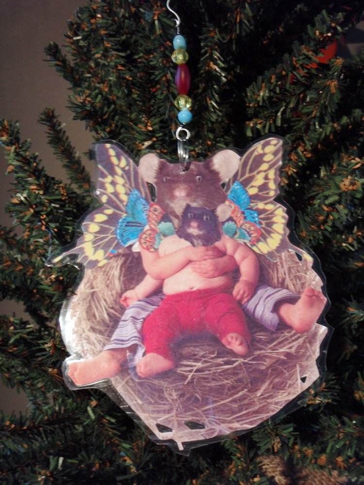 [hamster+babies.jpg]