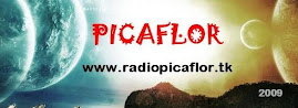 RADIO PICAFLOR