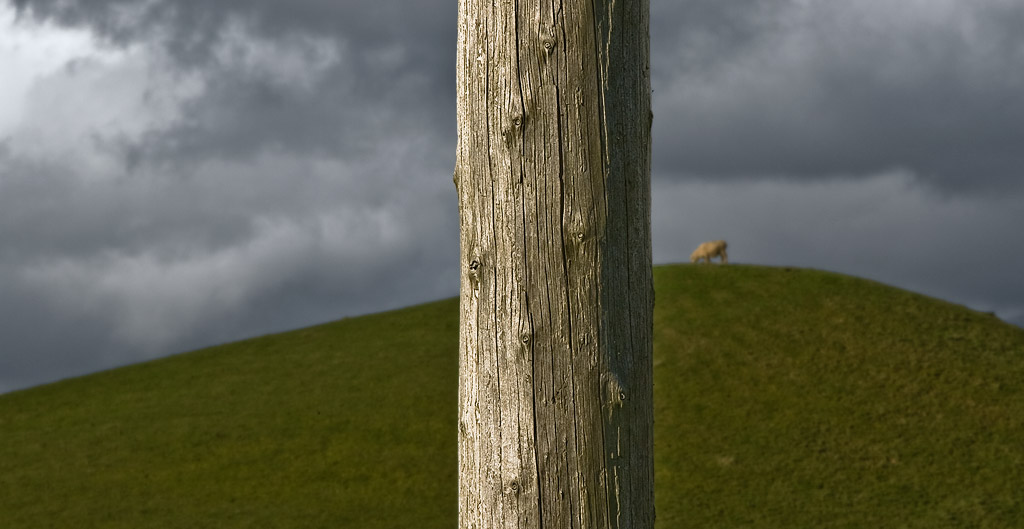 Telegraph pole, No 3 Line