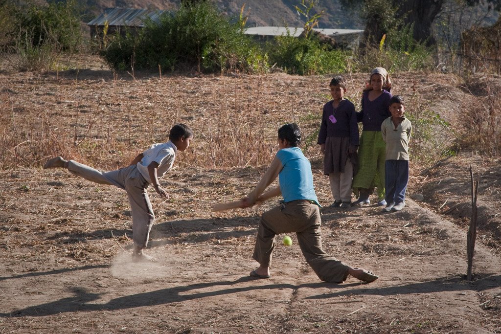 Cricket in the Indian Himalaya