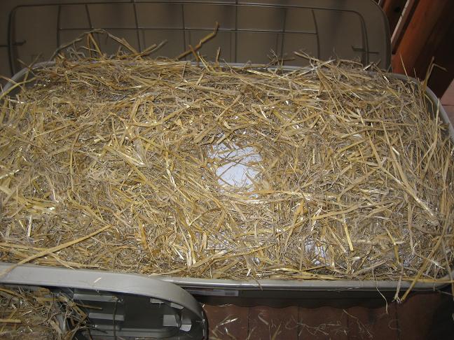 Make Insulated Cat Shelter No Straw Make Insulated Cat Shelter No Straw