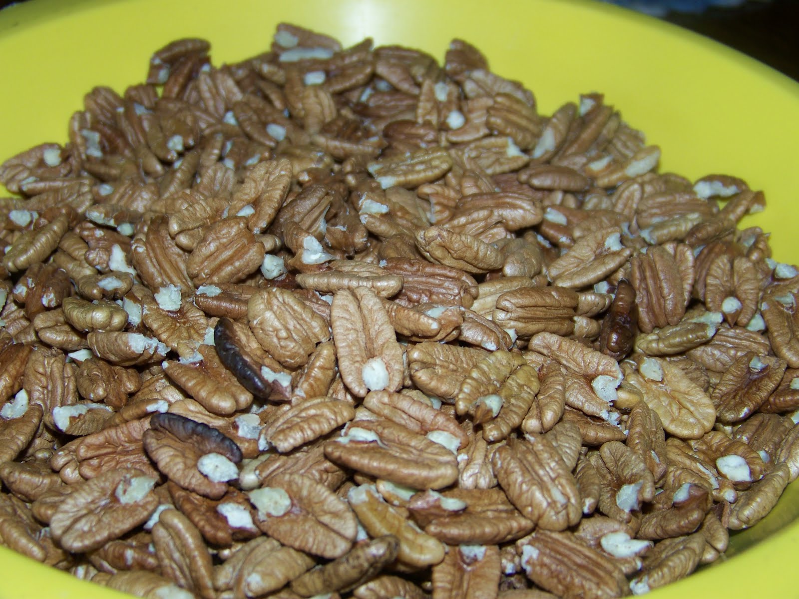 Hickery Holler Farm Picking Out Pecans