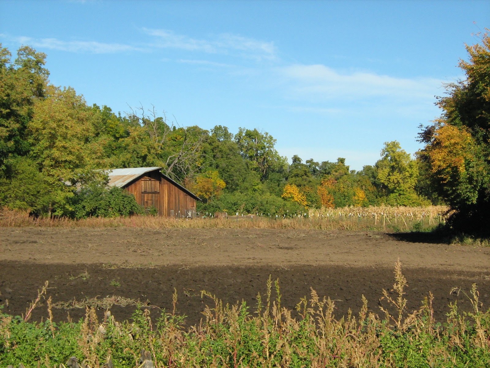 Barn Scenery
