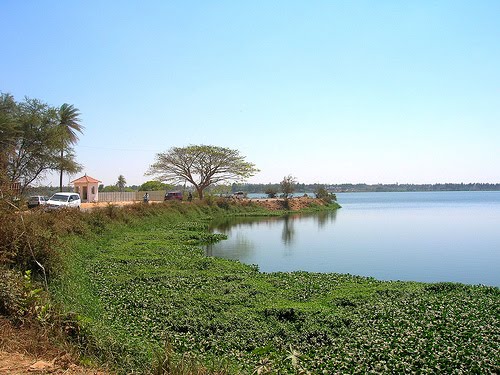 [398604366_dcbdcdc6f3.jpg]