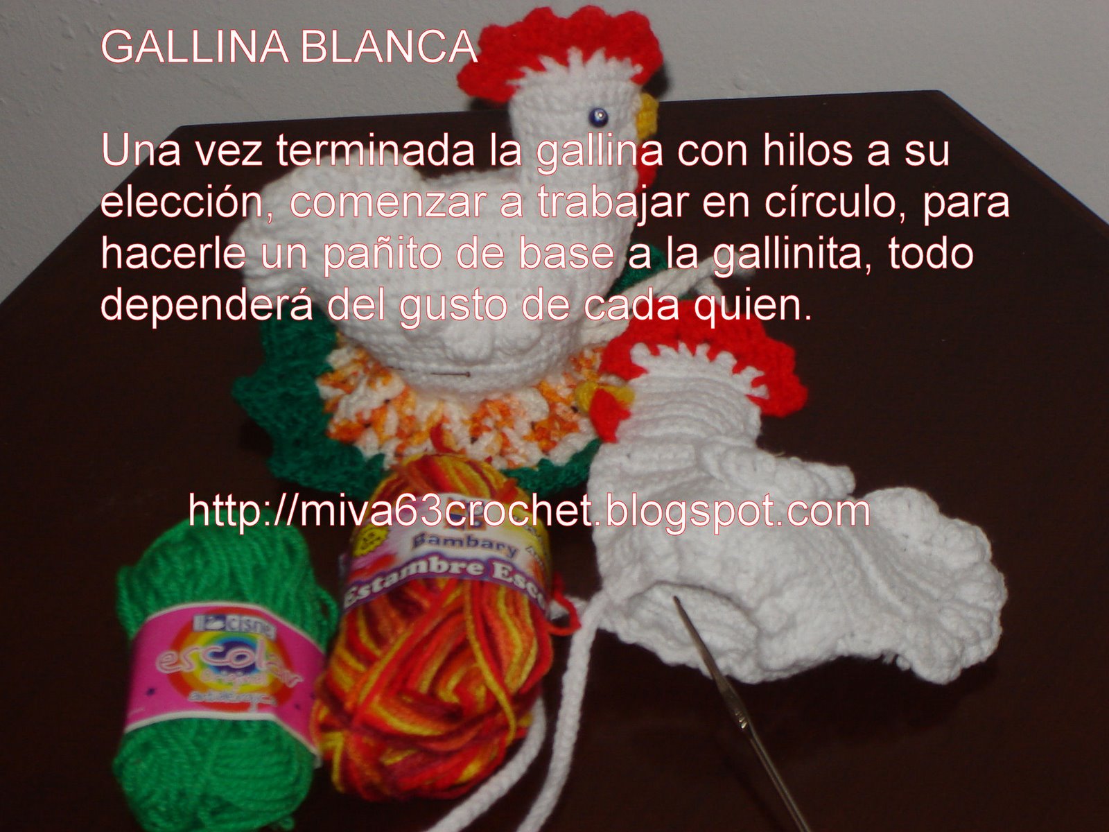 [PAPGALLINAMIVA08+016.jpg]