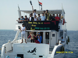 in Hurghada Island