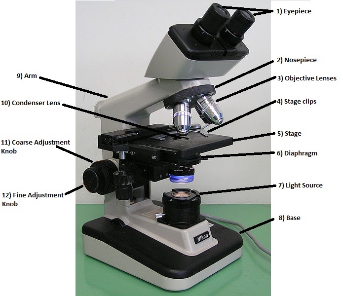 What is a nose piece on a microscope?