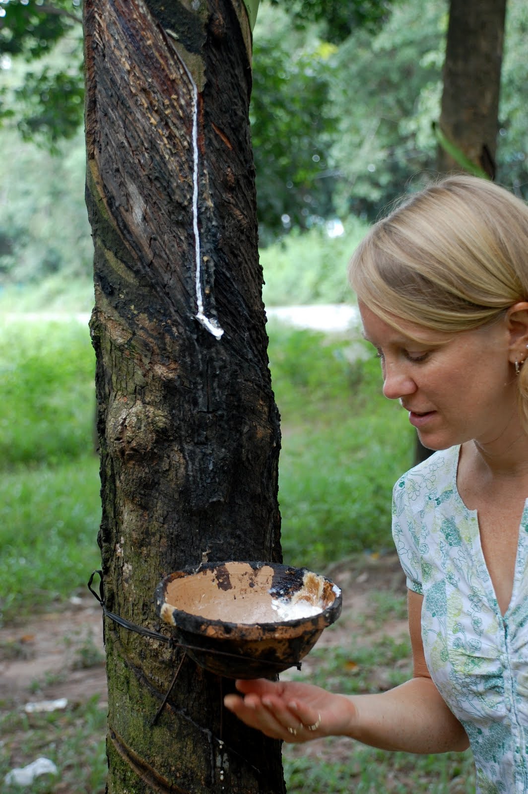 Now We Are Six Rubber Trees