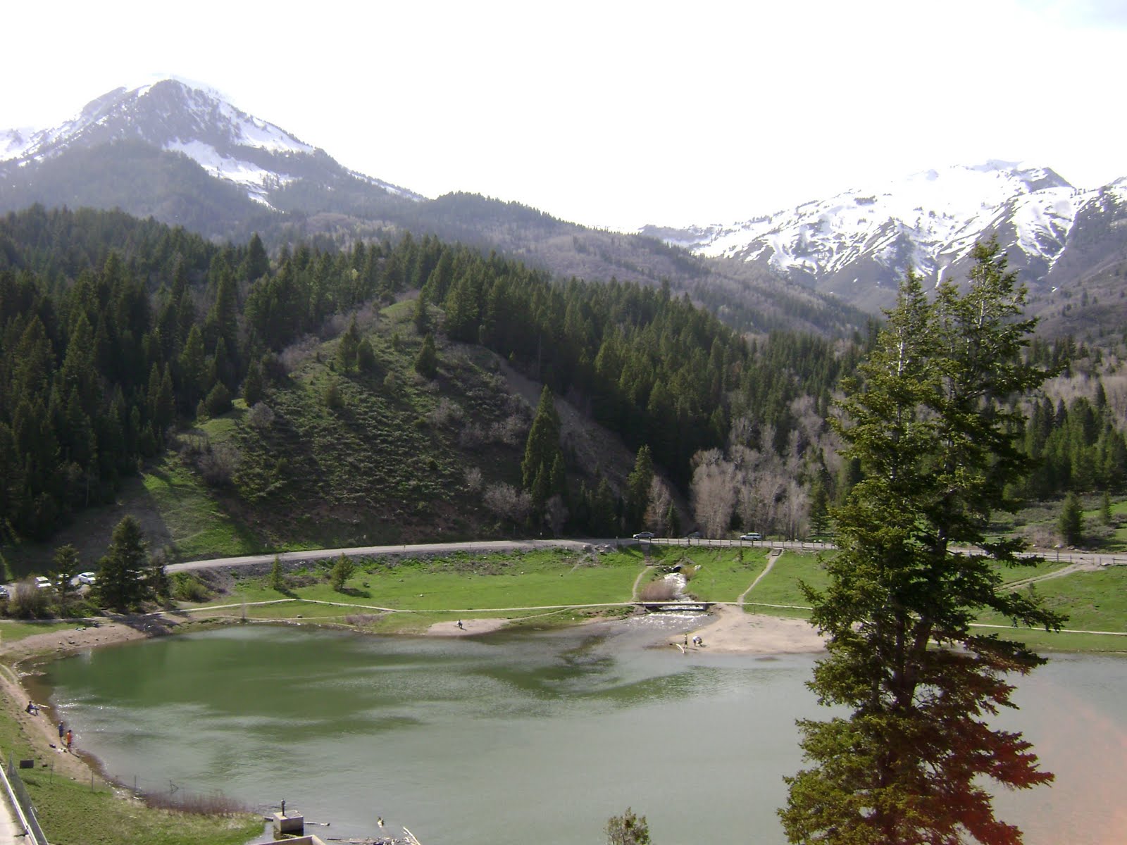 [DSC00829.JPG]