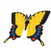Buterfly