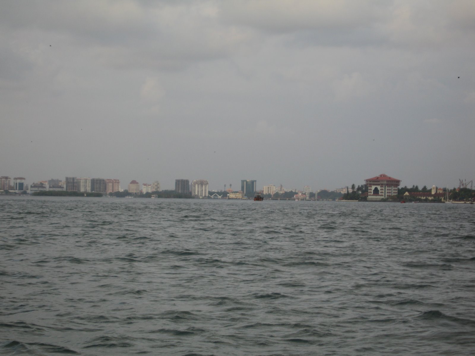 [IMG_0082.JPG]