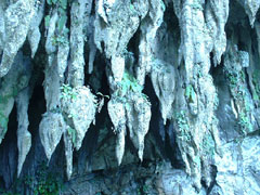 [clearwater_cave_1.jpg]