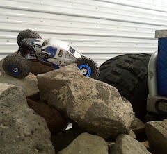 Bish's New Losi