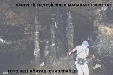 SARIVELİLER İLÇESİ