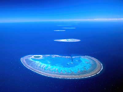 Great Barrier Reef: The Great