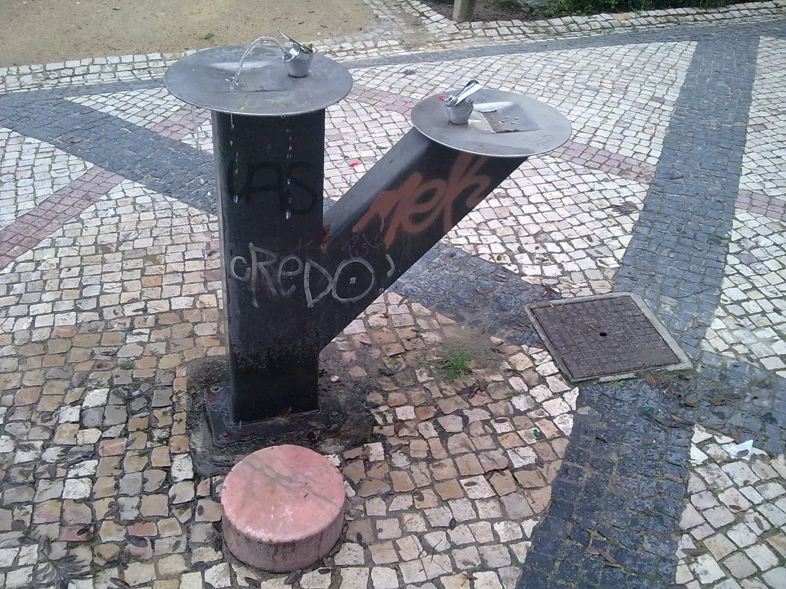 [20012010277.jpg]