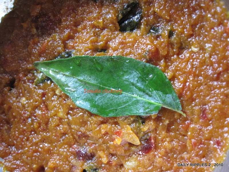 Kandari Chilli