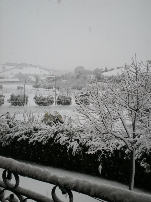 [DSCN5198.JPG]