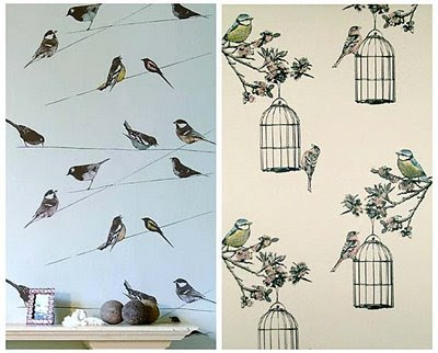 wallpaper for walls. bird wallpaper for walls