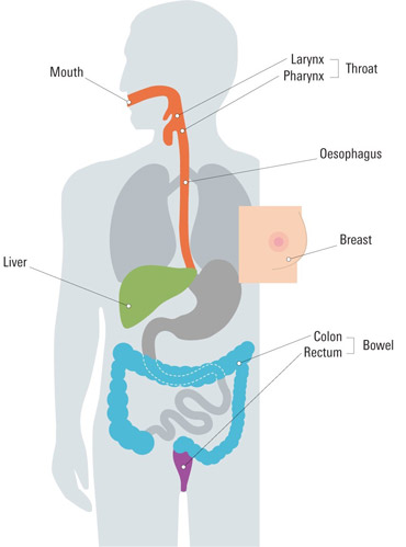 Women+body+parts+diagram