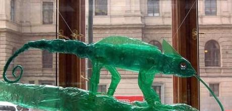 [creative-plastic-bottles-08.jpg]