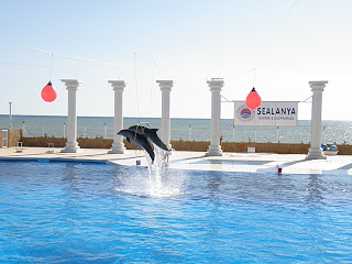 http tunkusa blogcu com ramazan bayrami 2008 tatil 6895223