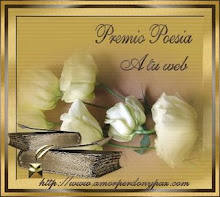 Premio A Mi Web