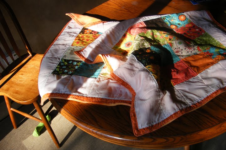 Modern Male Homemaker Dog Blankets On The Sofa When The First Major Tears In Fabric Hened We Decided Dog Should Sleep On Her Bed Instead Of Sofa This Lasted About A Week As Had Already