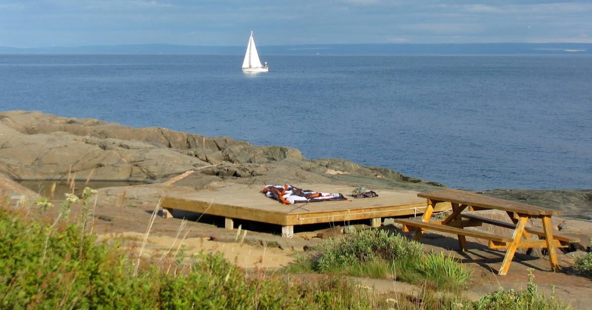 Cabin in the woods/Living off the grid Wild Camping with whales in Les