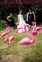 Lawn Flamingos