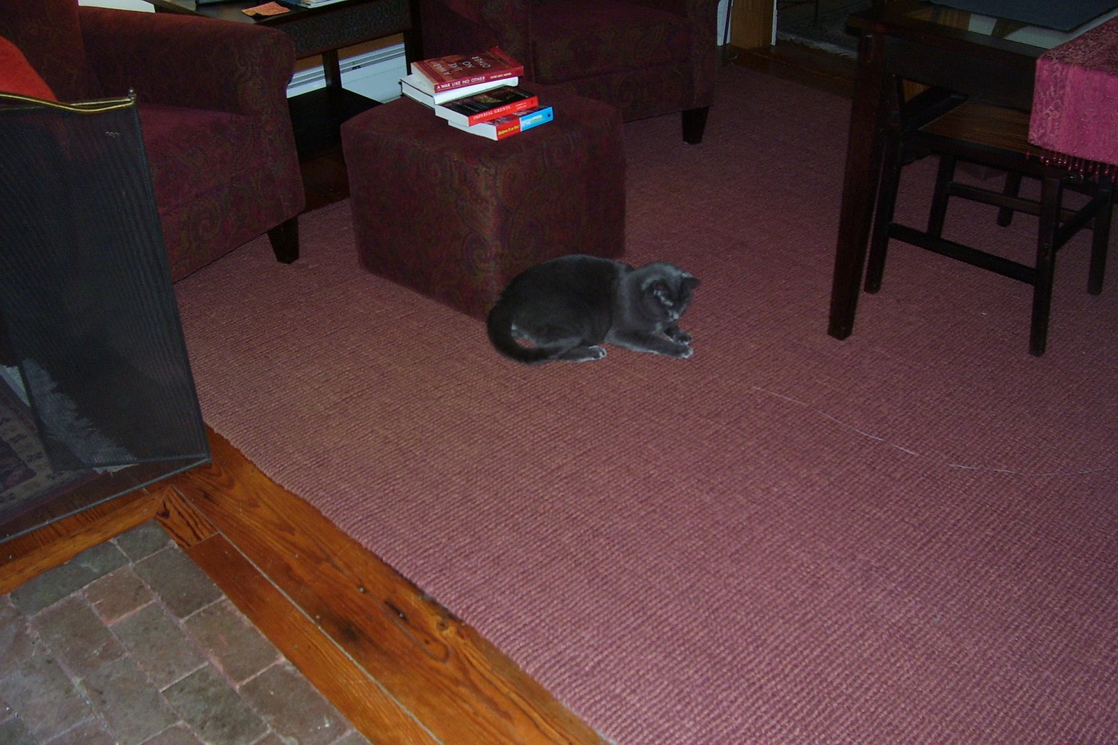 [Winter+2008+122.jpg]