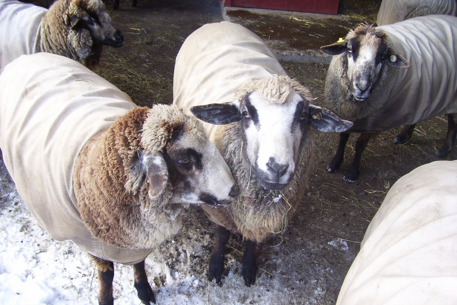 [Winter+2008+034.jpg]