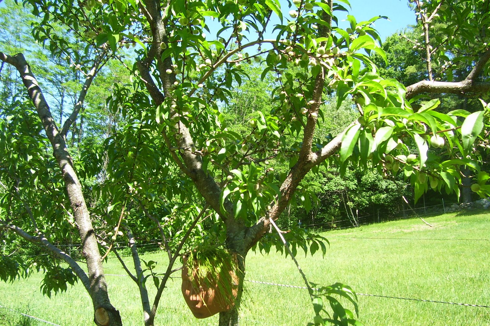 [Spring+2008+221.jpg]