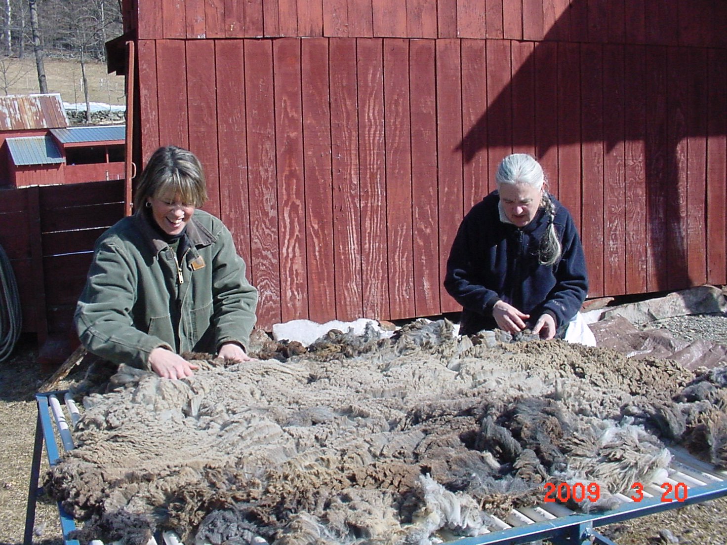 [Betsy+and+me+skirting.JPG]