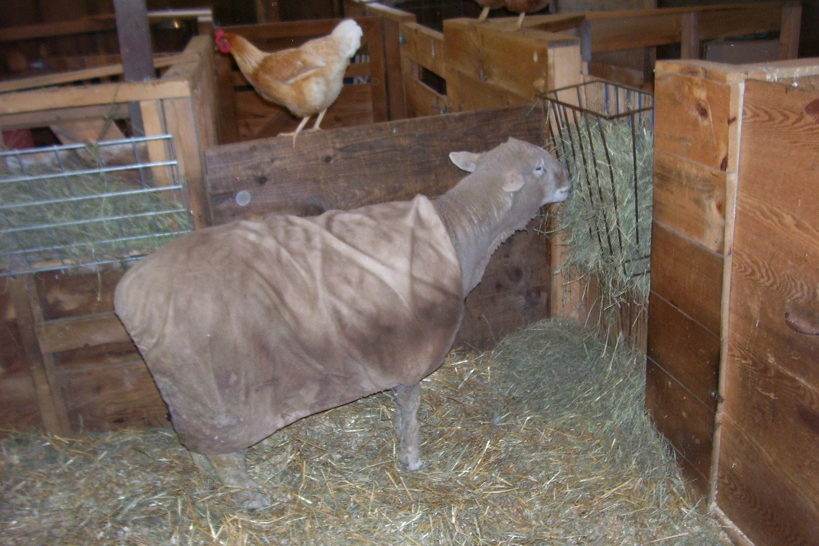 [Wetherby+in+recovery.jpg]