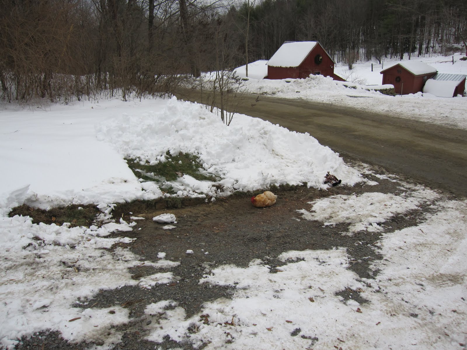 [found+some+dust.jpg]