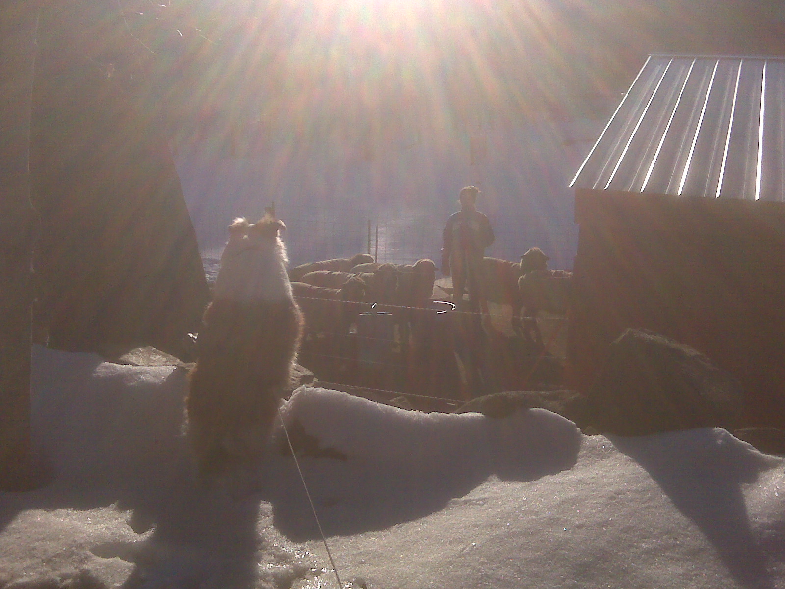 [early+training.jpg]