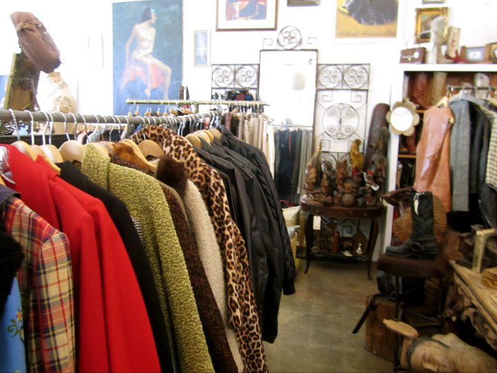 THE CITIZEN ROSEBUD (we are) Thrift Shoppers