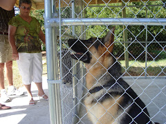 K-9 officer "Duke!"