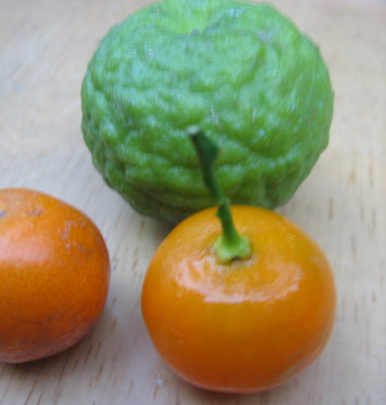 Miso for Breakfast: Unusual Citrus, and a Primal Strips Giveaway